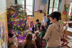 Obrázek galerie  16476