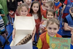 Obrázek galerie  16521