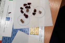 Obrázek galerie  16576