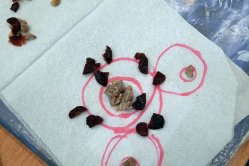 Obrázek galerie  16574