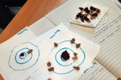 Obrázek galerie  16575