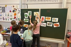 Obrázek galerie  16622