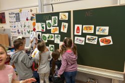 Obrázek galerie  16630