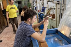 Obrázek galerie  16676