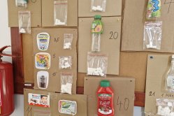 Obrázek galerie  16685