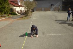 Obrázek galerie  16728