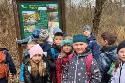 Obrázek galerie  16793