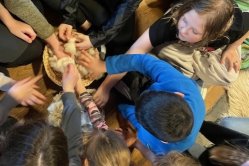 Obrázek galerie  16863