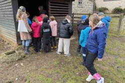 Obrázek galerie  16864