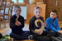 Obrázek galerie  16865