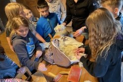 Obrázek galerie  16867