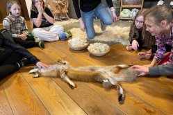 Obrázek galerie  16875