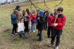 Obrázek galerie  16884