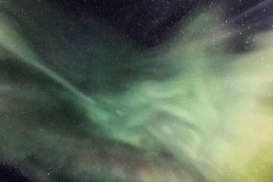 Obrázek galerie  16918