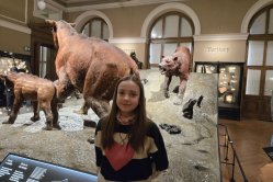 Obrázek galerie  16926