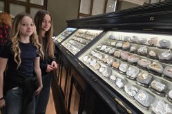 Obrázek galerie  16931