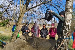 Obrázek galerie  16951