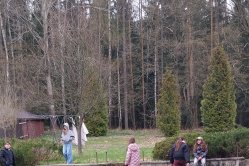 Obrázek galerie  16967