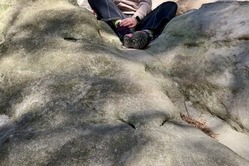 Obrázek galerie  16970