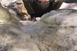 Obrázek galerie  16971