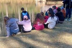 Obrázek galerie  16989