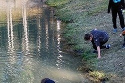 Obrázek galerie  16990