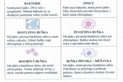 Exkurze do světa buněk