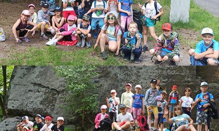 Akční den druháků