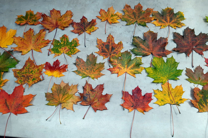 Podzimní chemický report