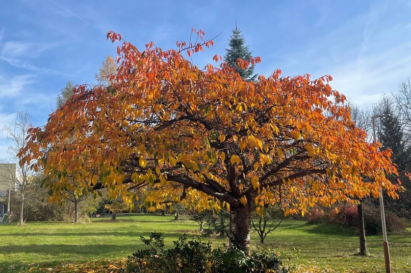 Naši osmáci na festivalu BETT 2025