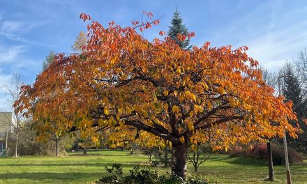 Naši osmáci na festivalu BETT 2025