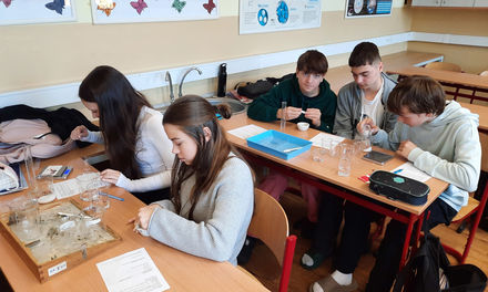 Barevná chemie v akci