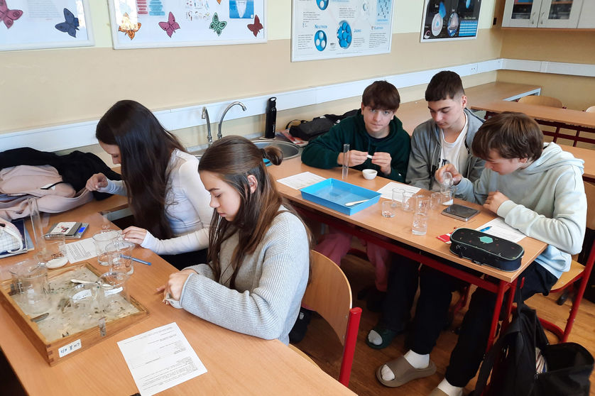 Barevná chemie v akci