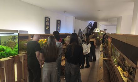 Deváťáci v akváriu 