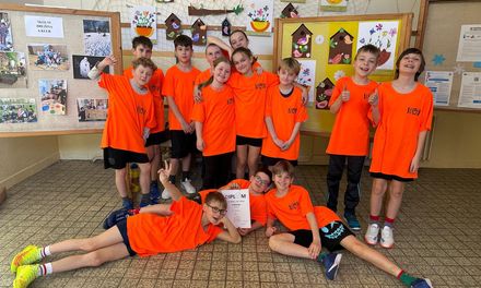 Okresní kolo ve vybíjené