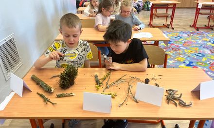 Pozorování přírody v 1. ročníku 