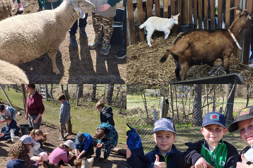 Třeťáci v Ekocentru v Oldřichově v Hájích 