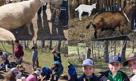 Třeťáci v Ekocentru v Oldřichově v Hájích 