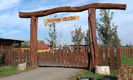 Školní výlet do ZOO Zelčín