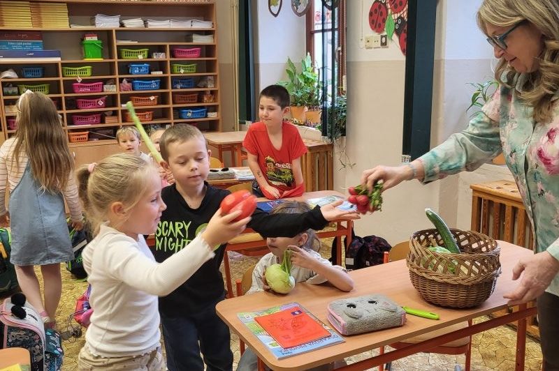 Zelenina všemi smysly