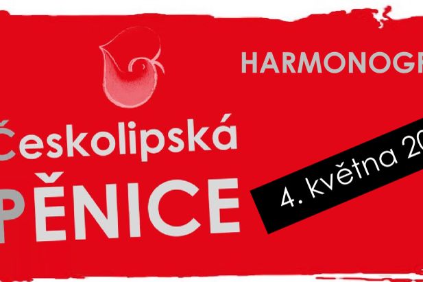 Českolipská pěnice