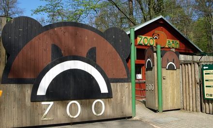 4.A + 4.B v ZOO DĚČÍN