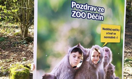 Výlet do Zoo