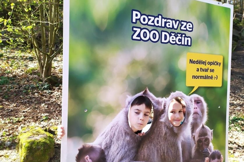 Výlet do Zoo
