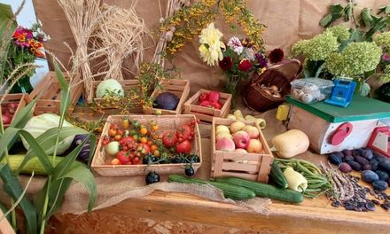 Třeťáci na výstavě ovoce a zeleniny
