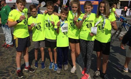 City Cross Run & Walk 2023